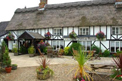 The Willow House front and planters